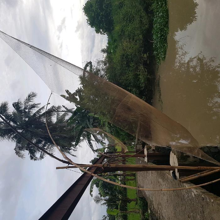jaring anco lubang 1.5 inchi untuk mujaer bandeng nila