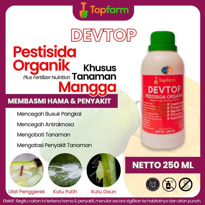 PESTISIDA DEVTOP UNTUK HAMA MANGGA - OBAT SEMPROT UNTUK MENGATASI LALAT BUAH DAN HAMA POHON MANGGA -