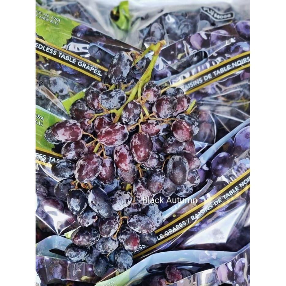 Buah anggur hitam black autum royal /ONS tanpa biji item manis