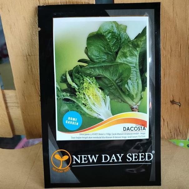 NDS - benih SELADA DACOSTA isi 1 gram - benih selada romaine - green
