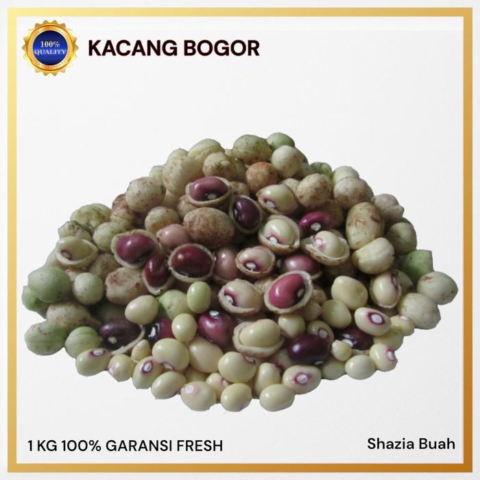 KOMPLIT Kacang Bogor Mentah / Kacang Bogor Super / 1Kg