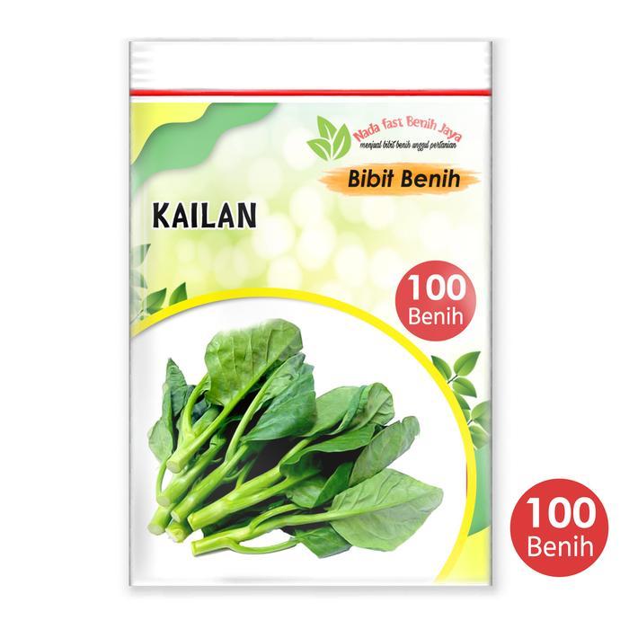 Benih sayuran kailan 100 biji / bibit kailan benih tanaman
