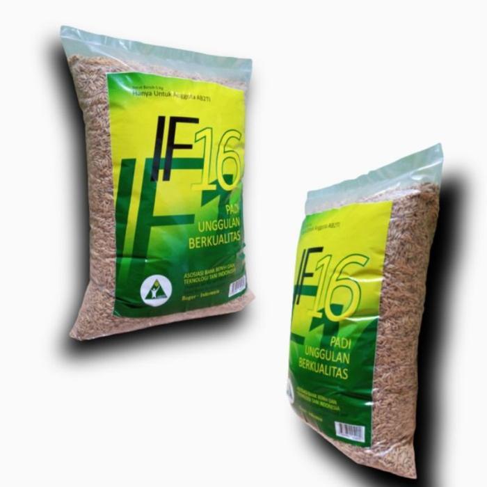 Benih bibit padi unggul IF 16 5kg berkualitas