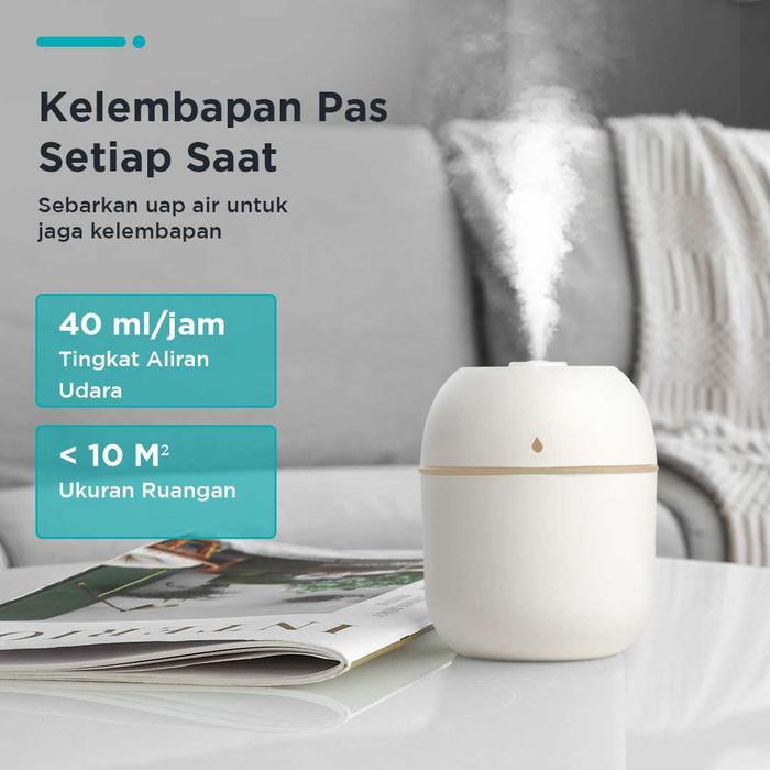 Hepa Center - Humidifier Mini Car Home Ultrasonic Diffuser Led 220Ml
