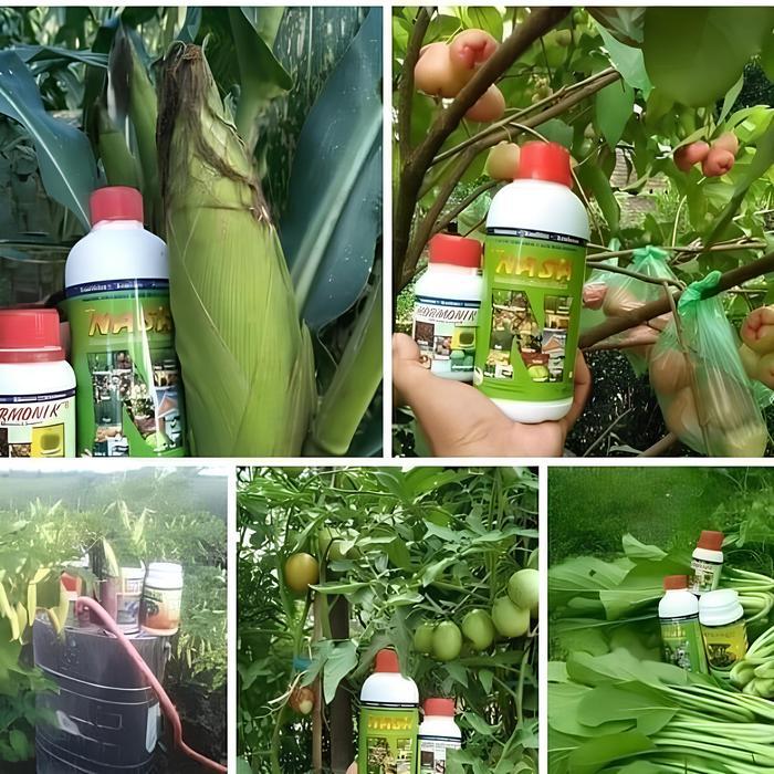 Terangbenderangshop Paket Poc Nasa 500Cc Dan Hormonik 100Cc Pupuk
