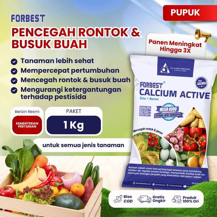 Pupuk Tanaman Kalsium Aktif untuk Mencegah Rontok dan Busuk Buah, Mengandung Kalsium, Zink, dan Boro