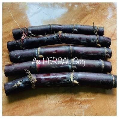 BATANG TEBU HITAM SEGAR 1 KG SIAP KONSUMSI TEBU WULUNG