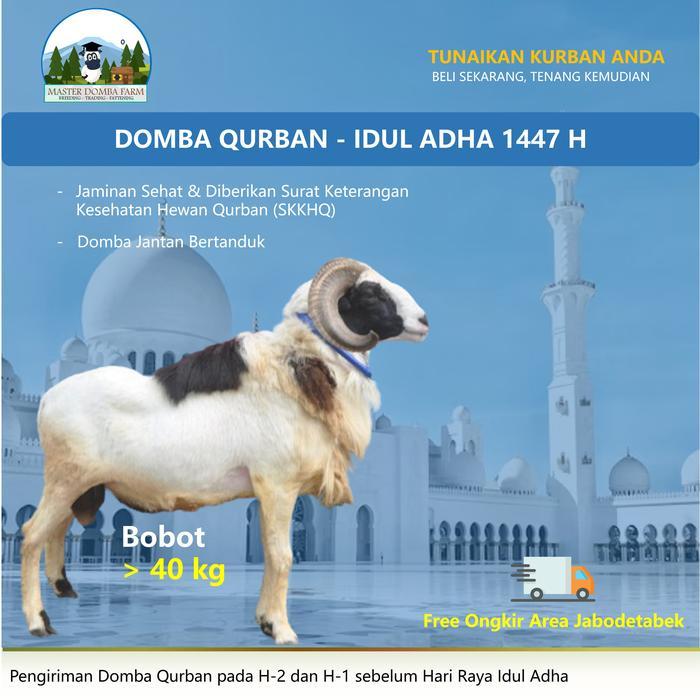 Master Domba Farm Idul Adha Qurban Murah Domba Kambing Kurban Berat 40-50 kg Gratis Ongkir