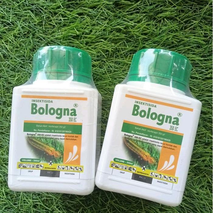 ` Insektisida Bologna 350ec Pembasmi Hama serangga untuk tanaman padi & palawija 250ML