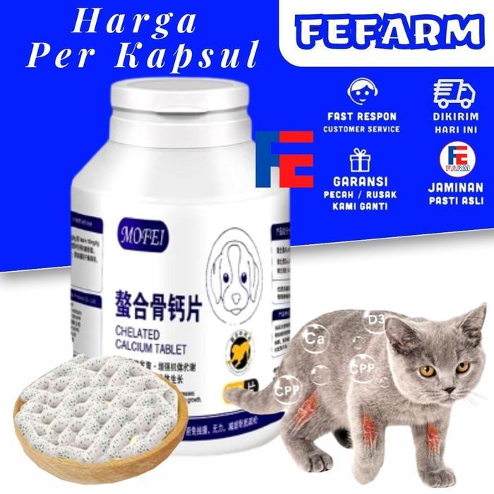 Kalsium Anjing Kondroitin Tulang Besar Kalsium Tablet Kucing Nutrisi K