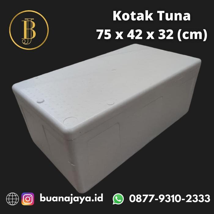 Kotak Box 75X42X32 Cm Styrofoam Sterofoam Gabus Penyimpanan Medan Tbk