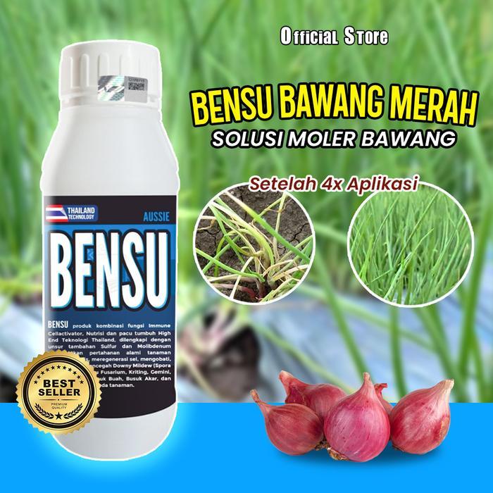 BENSU Stimulator Aktivator & Obat Moler Bawang Bantu Pulihkan Akar & Umbi Bawang Rusak
