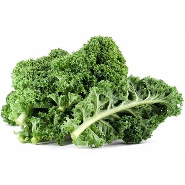 Sayur Kale Segar / Sayur Borecole Segar 1 KG