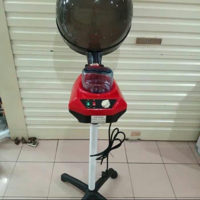 uap rambut hair steamer