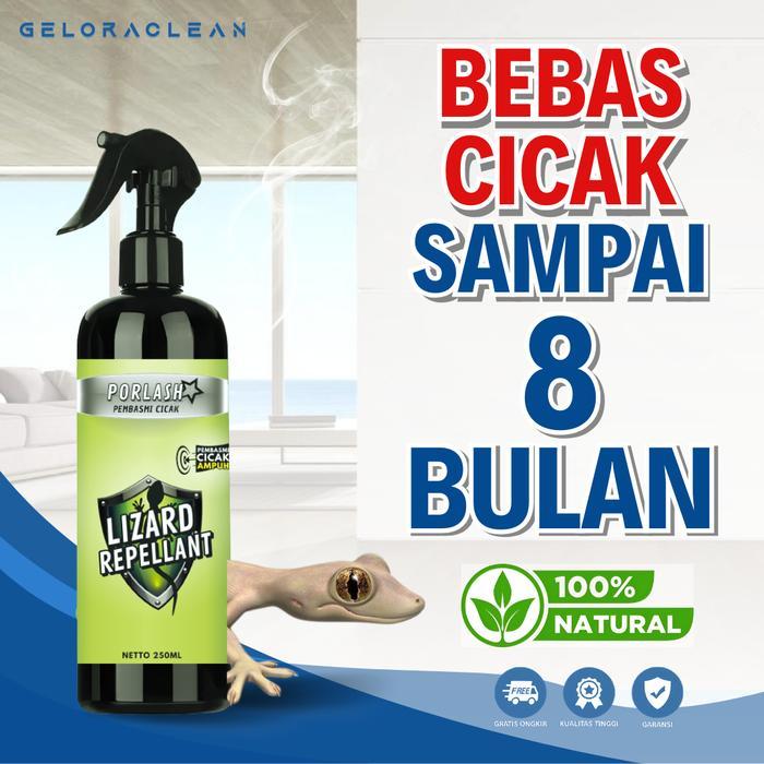 LIZARD REPELLANT RACUN CICAK CAIR PEMBASMI CICAK PALING AMPUH 100% ORIGINAL
