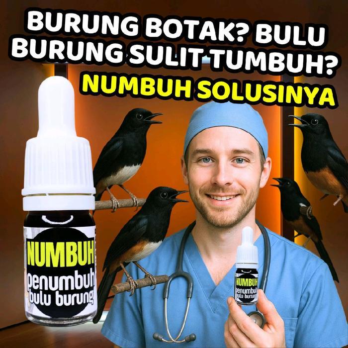 VITAMIN PENUMBUH BULU BURUNG NUMBUH MENGATASI BURUNG BOTAK DAN RONTOK BULU