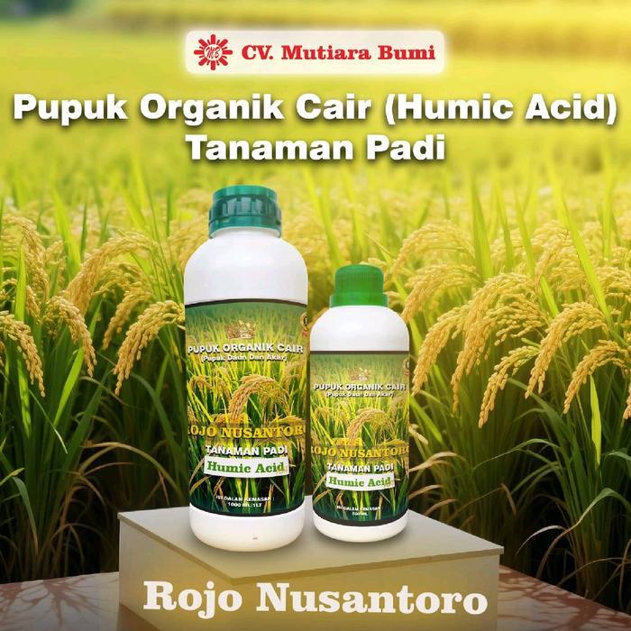 Pupuk Padi Pupuk Booster Padi Pupuk Organik Cair Humic Acid Tanaman Padi Rojo Nusantoro