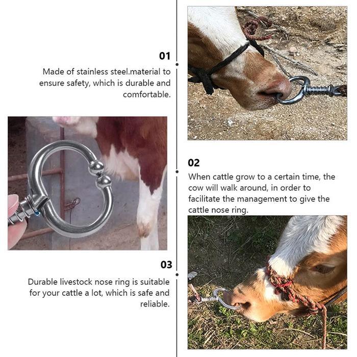 PENJEPIT HIDUNG SAPI PETERNAKAN SAPI BESAR HIDUNG STAINLESS STEEL