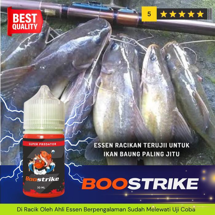Essen Oplosan Umpan Mancing Ikan Baung Paling Jitu Pancing Lele