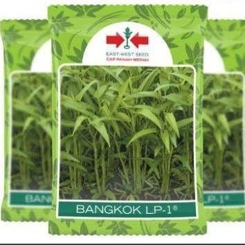 ( 10 bungkus ) Benih KANGKUNG BANGKOK 1 kg panah merah per dus kangkung panah merah