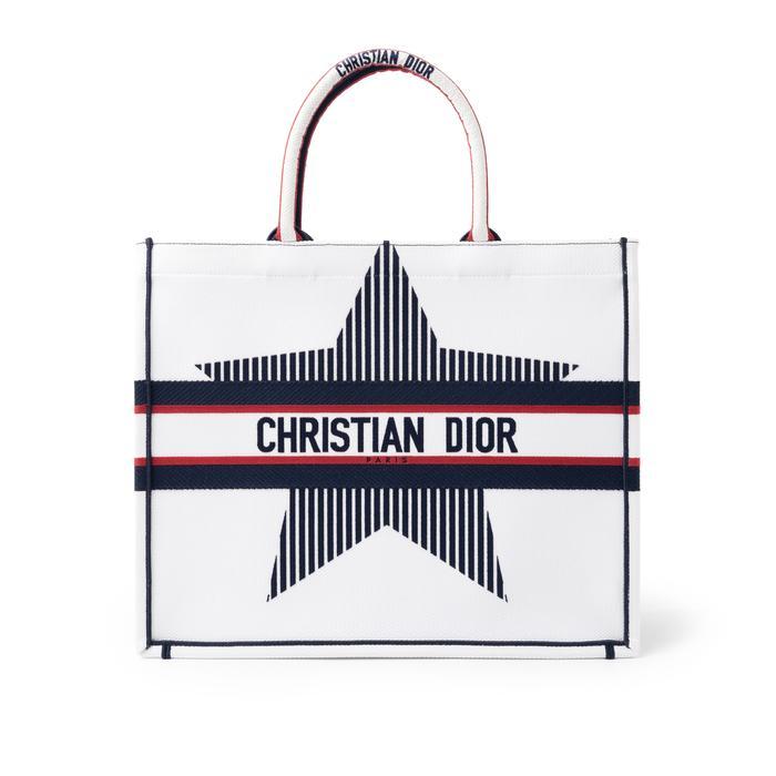 Bonsoir Book tote large DiorAlps embroidery