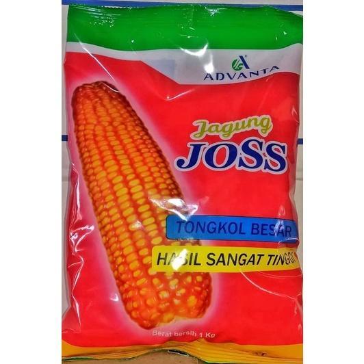 Benih jagung ADV JOSS