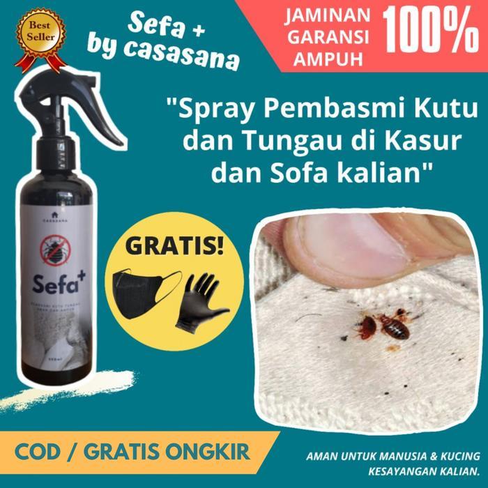 Obat Kutu Tungau Kasur Sefa Plus (+) Spray Anti Tungau Ampuh