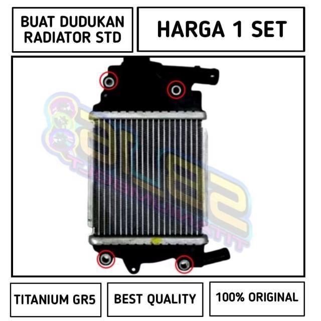 Baut Radiator Vario/Pcx Titanium