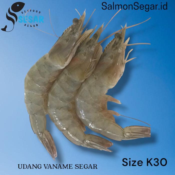 Udang Vaname Segar K30 - Vaname Segar Jumbo - Fresh Seafood