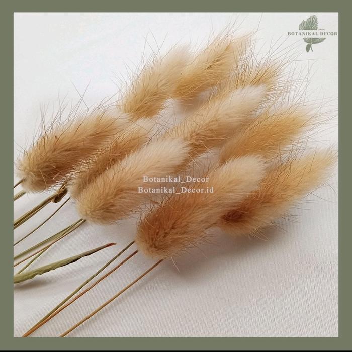 Topper Ilalang, Artifact Ilalang, Hiasan kue Bunga Ilalang