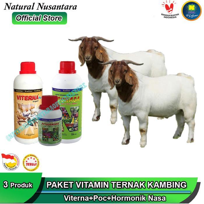 VITAMIN KAMBING ORGANIK NASA VITERNA POC HORMONIK NASA