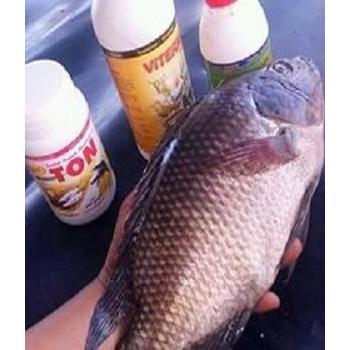 VITERNA PLUS NASA VITAMIN TERNAK SAPI - KAMBING - AYAM - BABI -IKAN