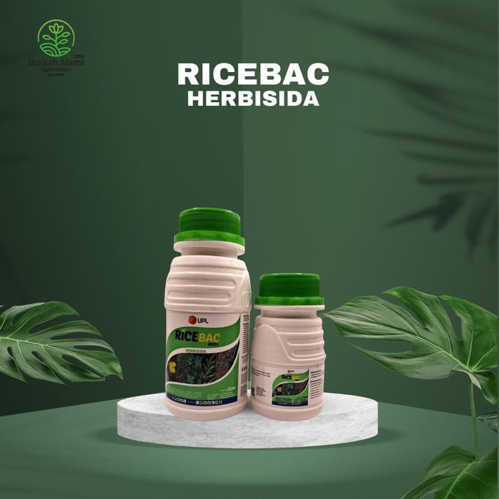 RICEBAC 400SC HERBISIDA SELEKTIF UNTUK TANAMAN PADI