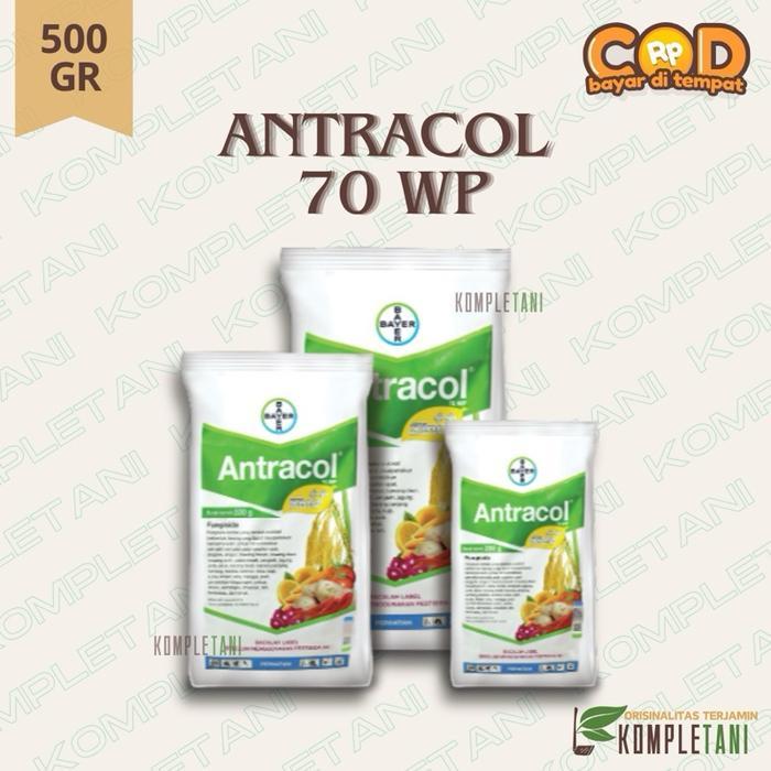 lumercok99 Antracol 70 WP (500GR) - Fungisida Kontak Protektif untuk Tanaman Anggrek, Anggur, Apel,