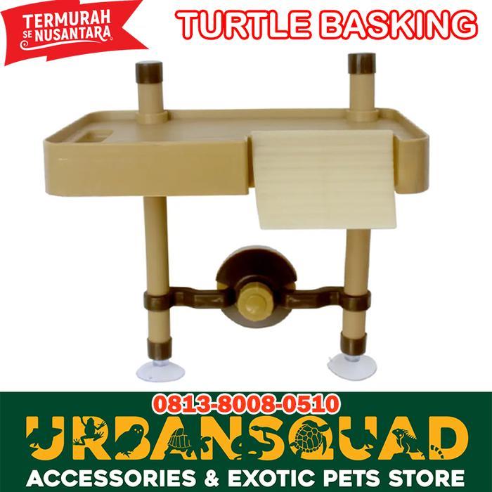NOMOY BASKING TURTLE NF-26 KURA BRAZIL DAMER DBT DIAMOND BACK STINKPOT