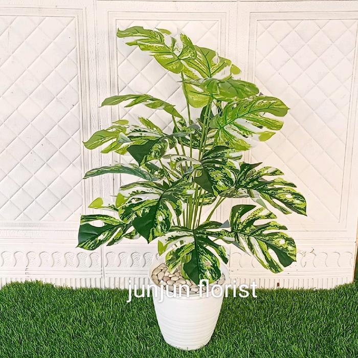tanaman hias monstera artificial pot bee besar