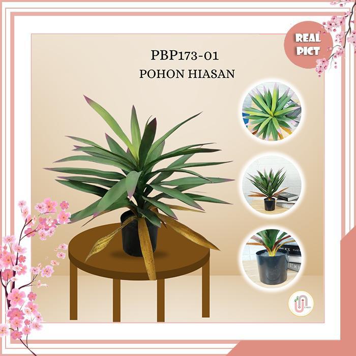 Unico Tanaman Hias Pohon Plastik Import Termurah / Tanaman Pohon Yucca Hias Tinggi 40 Cm / Pot
