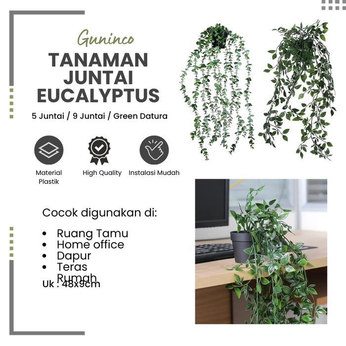[GUNINCO] Tanaman Hias Juntai Eucalyptus - Tanaman Hias Plastik Aesthetic - Tanaman Gantung -