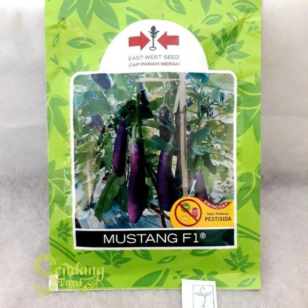 Benih Bibit MUSTANG F1 Terong Ungu Cap Panah Merah