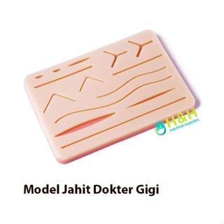 Ready Model Gigi / Model Jahit Dokter Gigi / Latihan Jahit / Spons Jahit Gigi