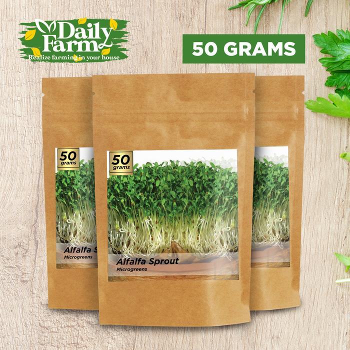Benih Microgreens ALFALFA Sprout ( 50 GRAM ) Bulk Size