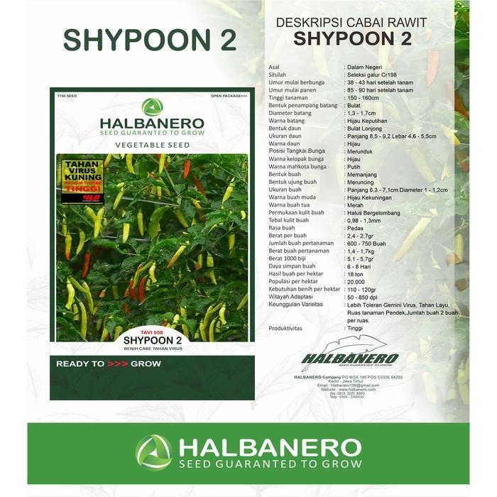 CABAI RAWIT NEW SHYPOON 2 TAVI 558 - HALBANERO