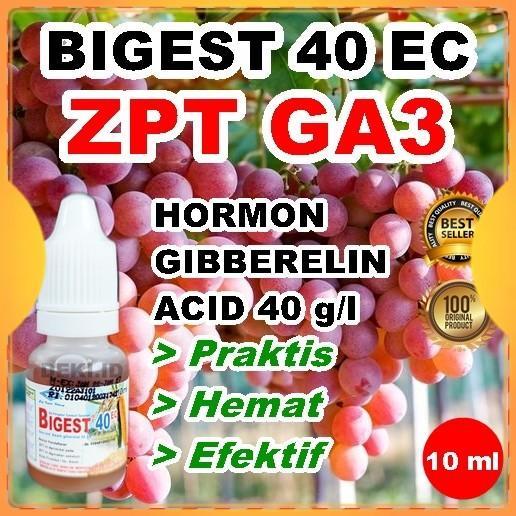 GA3 Bigest 40 EC 10 ml Hormon Giberelin Acid ZPT Tanaman Buah Anggur
