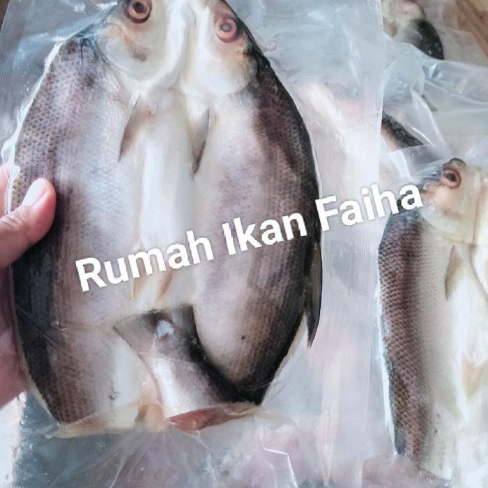 Ikan Bandeng Cabut Duri