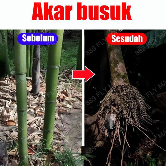 racun rumput paling ampuh herbisida pembasmi rumput liar racun pohon besar ampuh obat pembasmi
