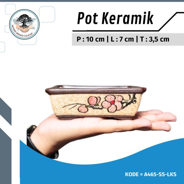 Pot Bonsai Keramik MAME Small Model RANDOM