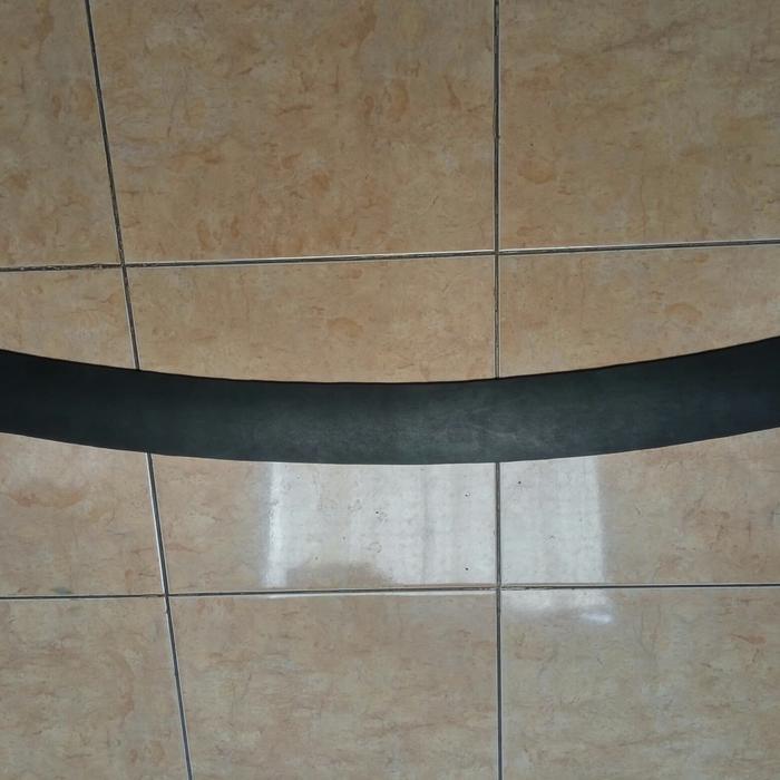 Bumper pad atau rear bumper step proton exora cfe cps newww