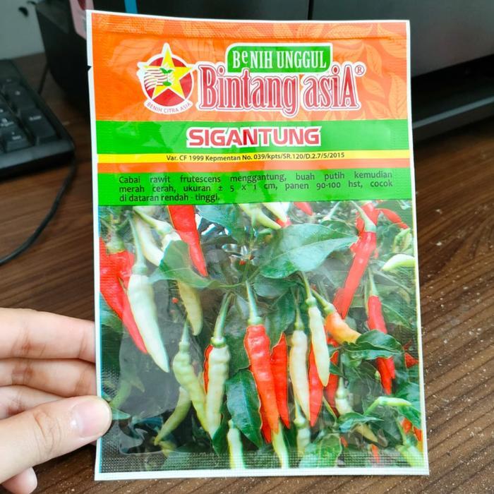 cabe rawit merunduk sigantung - cabai rawit