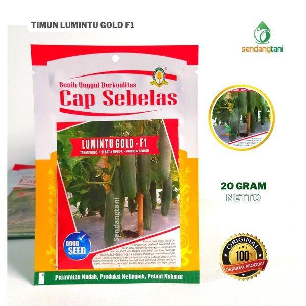 Timun LUMINTU GOLD F1 Benih Bibit Mentimun Hijau Hibrida Cap Sebelas