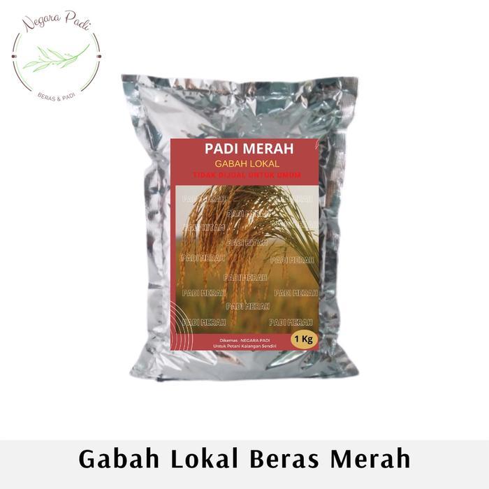 Benih Padi Beras Merah Padi Unggul 1Kg